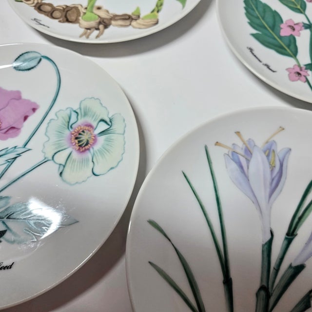 Four gorgeously illustrated Asian botanical plates- ginger, poppy, saffron and sesame seed plants on decorative plates.