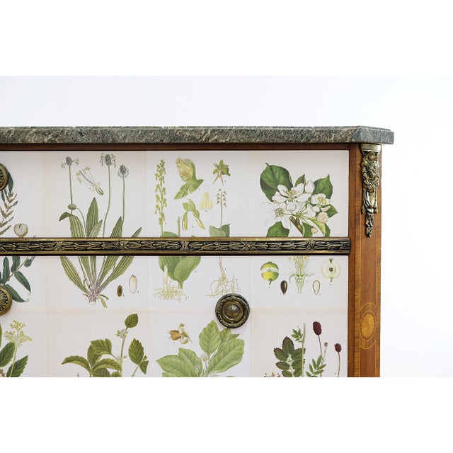 Wood Gustavian Chest with Nordens Flora by C.A.M Lindman, Sweden, 1940s For Sale - Image 7 of 11