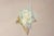 AVMazzega Wall Lamp in Light Blue Murano Glass from Mazzega, Italy, 1970s For Sale - Image 4 of 14