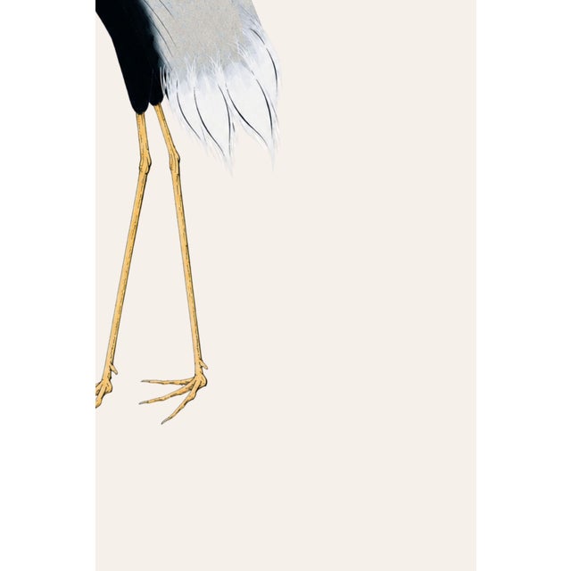 Japanese Crane Study I, Original Print, 24" X 36" For Sale In Buffalo - Image 6 of 10