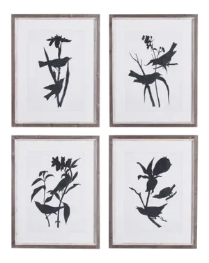 Bird Silhouette Prints, Framed from Kenneth Ludwig Chicago - Set of 4