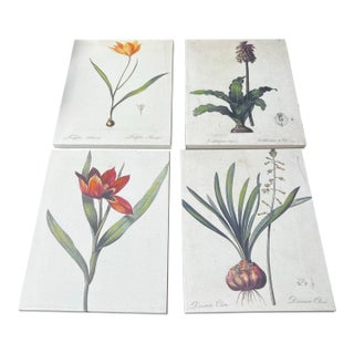 1970s Collection of Floral Signed Prints on Canvas - Set of 4 For Sale