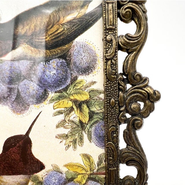 Vintage Italian Ornate Cast Metal Picture Frame With Hummingbird Print | Hollywood Regency, Rococo Style For Sale - Image 10 of 10
