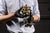 A distinctive repurposed mixed-media sculpture by Chicago artist Gregory Warmack, better known as Mr. Imagination...