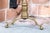 Pair of 19th Century Brass Finial Top Andirons For Sale In New York - Image 6 of 7
