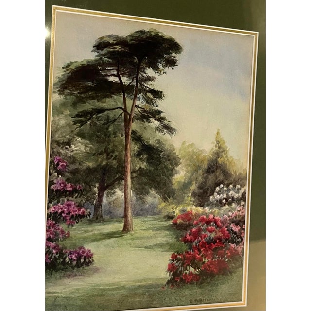 1940s E M B Warren Original Watercolor of a Garden For Sale - Image 4 of 8