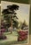 1940s E M B Warren Original Watercolor of a Garden For Sale - Image 4 of 8