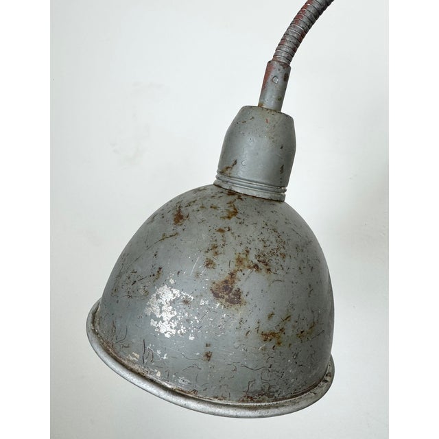 Industrial Grey Gooseneck Scissor Wall Lamp from Elektroinstala, 1960s For Sale - Image 4 of 18
