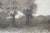 Antique Ernest Christian Rost Signed Dirt Road Farmhouse Cottage Etching 28" For Sale - Image 13 of 14