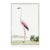 Greater Flamingo by Robert Jacob Gordon, Vintage Art Print Reproduction, 24" × 36" For Sale