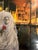 Modern 1980s Carnevale Di Venezia (Venice Carnival), Poster For Sale - Image 3 of 4