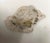 Oyster Gray Pair Vintage Marble “Scagliola” Circular Table Tops, Attributed to Emilio Martelli For Sale - Image 8 of 13