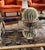 Modernist mirrored tray Jacques Adnet, Paris, France 1940s / 1950s metal, glass H 10 cm 26 x 41 cm Conditions: excellent...