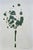 2020s Set of 4 - One-of-a-Kind Dark Green Botanical Organic Modern Original Oil Paintings / Herbarium / Floral For Sale - Image 5 of 9