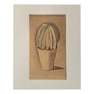 Giorgio Morandi, Cactus, 1973, Lithograph For Sale