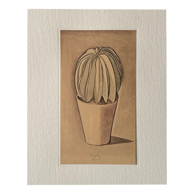Giorgio Morandi, Cactus, 1973, Lithograph For Sale