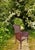 Vintage French Double Caned Wicker Armchair / Side Chair For Sale - Image 13 of 15