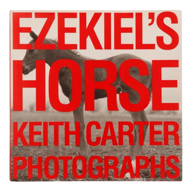 Ezekiel's Horse Keith Carter Photographs For Sale