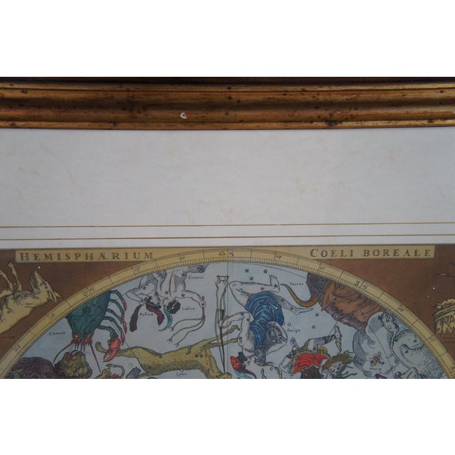 Hemisphaerium Coeli Boreale Greek Mythology Astronomical Celestial Map 39" For Sale - Image 11 of 13