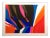 1980s "Nochburt" Abstract Serigraph by Charles Schorre For Sale
