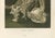 Paper Richard Lydekker, Glass Sponges Deep-Sea Marine Life, 1896, Color Process Print For Sale - Image 7 of 9