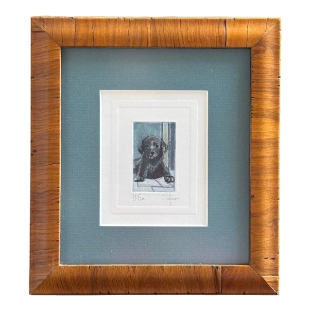 Italian Watercolor Etching of Labrador Puppy by Giorgio Ferrari (B. 1936) For Sale