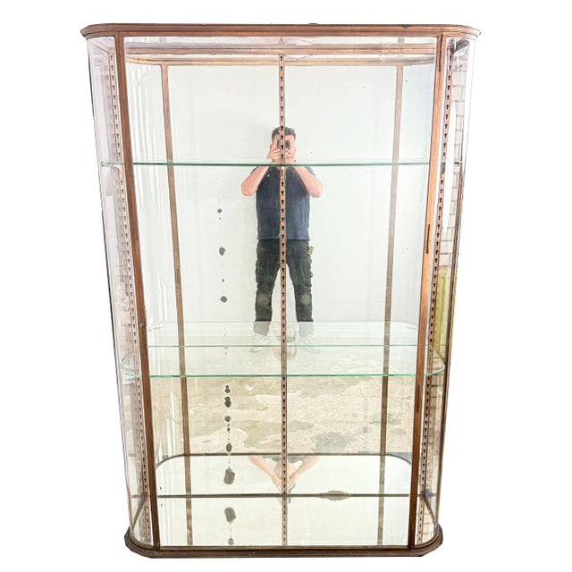 Large Antique Metal Museum Display Cabinet with Curved Glass, 1890s For Sale - Image 16 of 18
