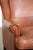 Wing Club Chair in Cowhide Leather For Sale - Image 11 of 12