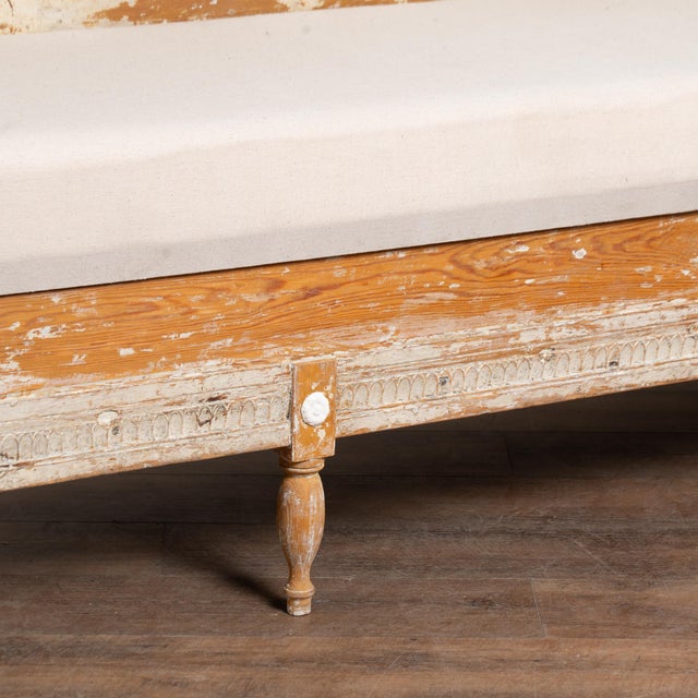 19th Century Swedish Gustavian Original Gray Painted Pine Bench For Sale - Image 10 of 17