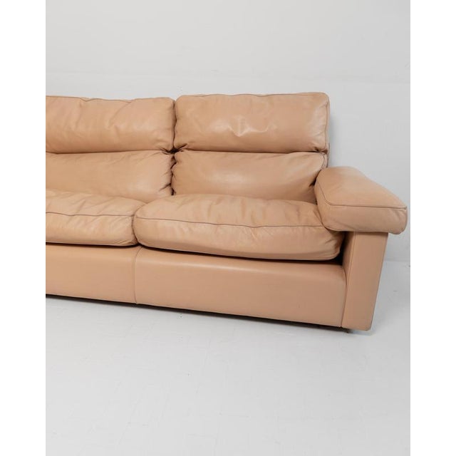 Vintage Petronio 4-6 Seater Sofa in Blush Leather by Tito Agnoli for Poltrona Frau, 1970s For Sale - Image 6 of 13