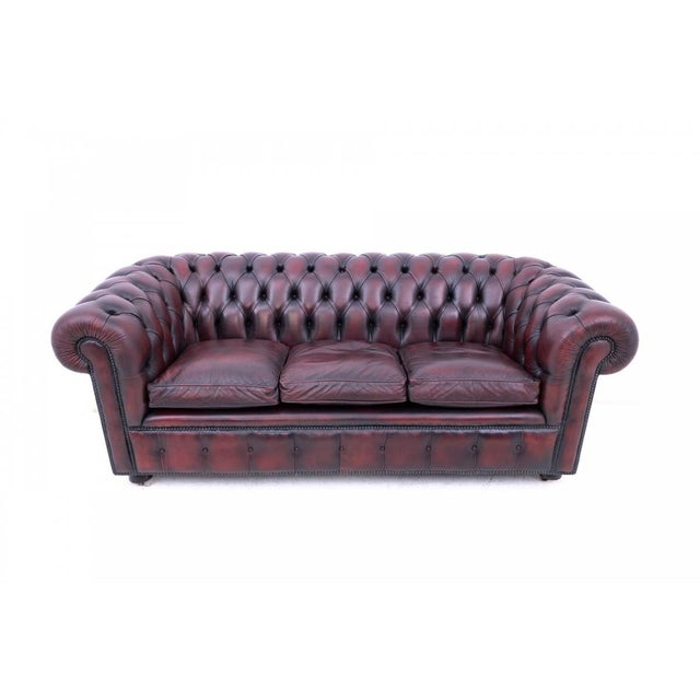 Mid-Century Chesterfield Sofa, Western Europe, 1950s For Sale - Image 12 of 12