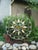 Hollywood Regency Vintage 36" Floral Wrought Iron Toleware Wall Art Hanging Large Flowers For Sale - Image 3 of 7
