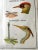 Rossignol 1960s Two-Sided French School Science Poster - Reptiles & Birds, 34x29 For Sale - Image 10 of 11