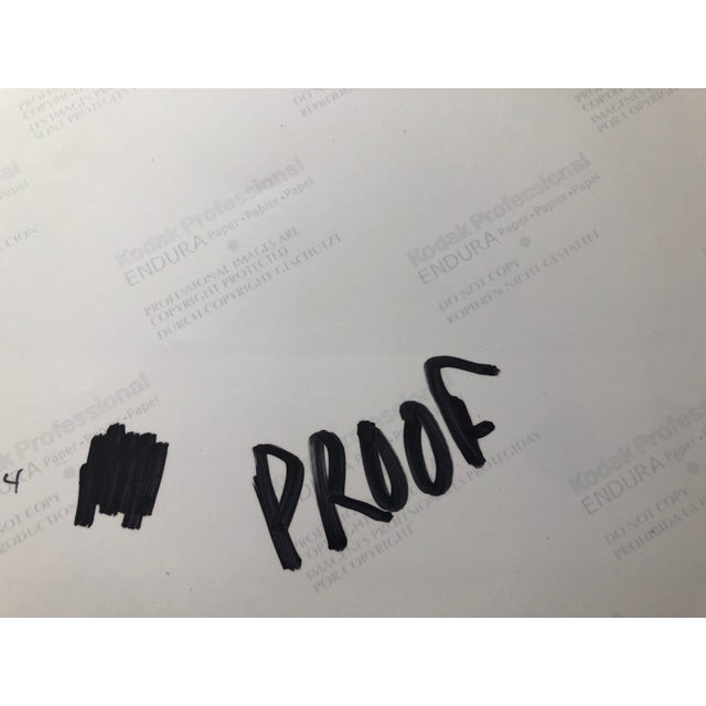 Peter C. Jones 1, Sweet Williams, Large Format Flowers Photo 24X20 Color Photograph Beach House, 2002 For Sale - Image 4 of 6