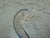 Vintage Blue & Clear Art Glass Swan Sculpture With Controlled Bubble Inclusions For Sale - Image 4 of 12