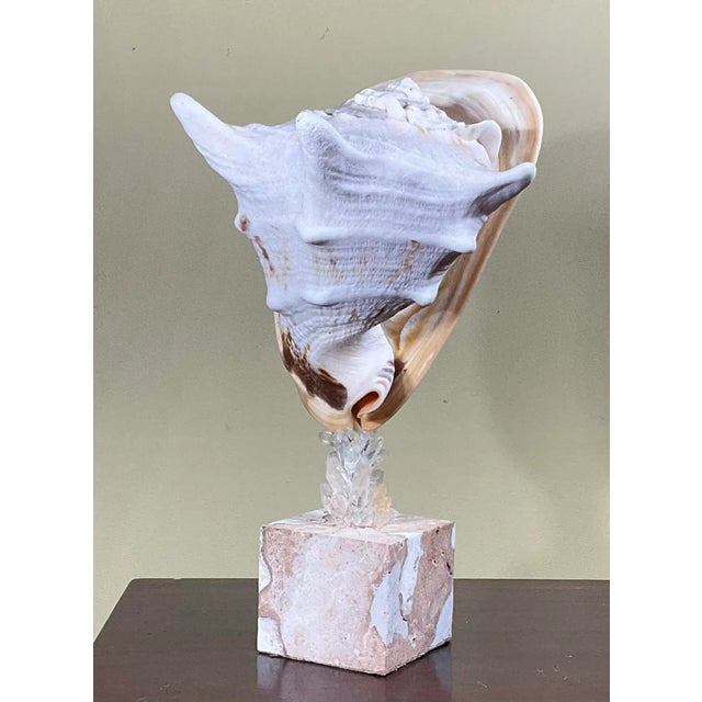Sea Shell and Quartz Crystal Sculpture by Joseph Malekan For Sale In Miami - Image 6 of 13