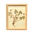 1893 Herbarium Botanical Specimens, Set of 12 For Sale - Image 9 of 17