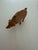 Figurative A Collection of Vintage Animal Figures For Sale - Image 3 of 9