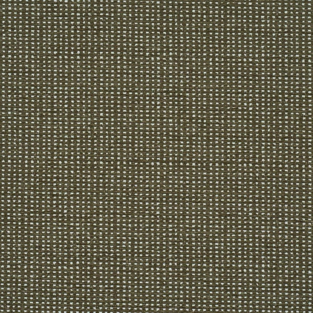 Jasper Performance Chenille is a versatile broken stripe with a subtle striÈ effect and velvety-soft texture. This...