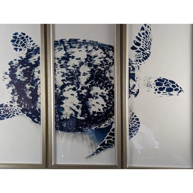 Stuart Redler, Blue Turtle, 2000s, Digital Print For Sale - Image 4 of 8