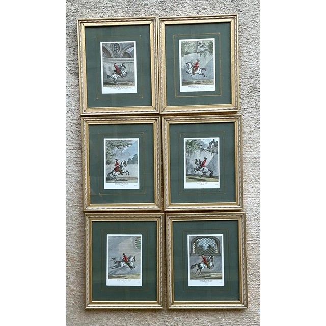 Vintage Equestrian Engravings in Gilt Frames - Set of 6 For Sale - Image 4 of 13