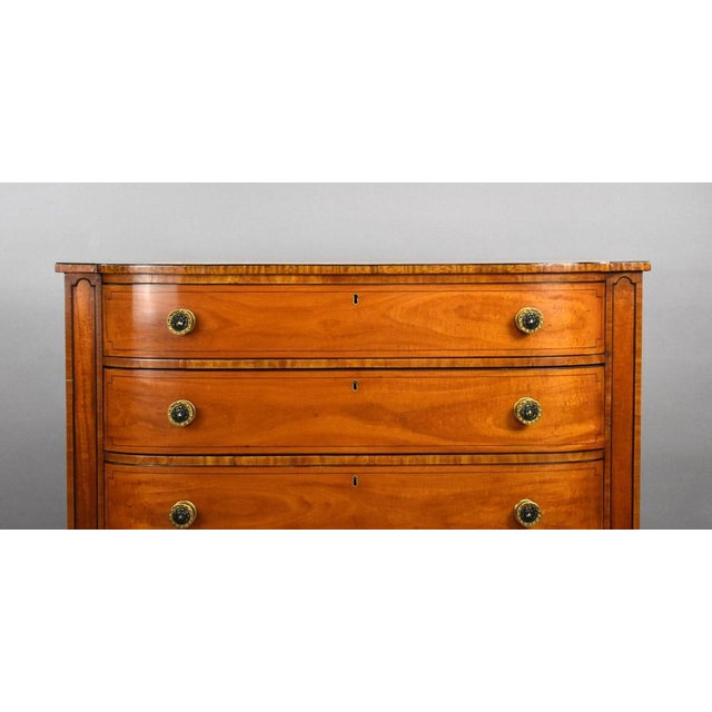 Wood Regency Satinwood Bow Front Chest, 1810 For Sale - Image 7 of 13
