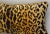 The House of Scalamandre Scalamandre Leopardo/Leopard Feather/Down Pillow 24" Square For Sale - Image 4 of 5