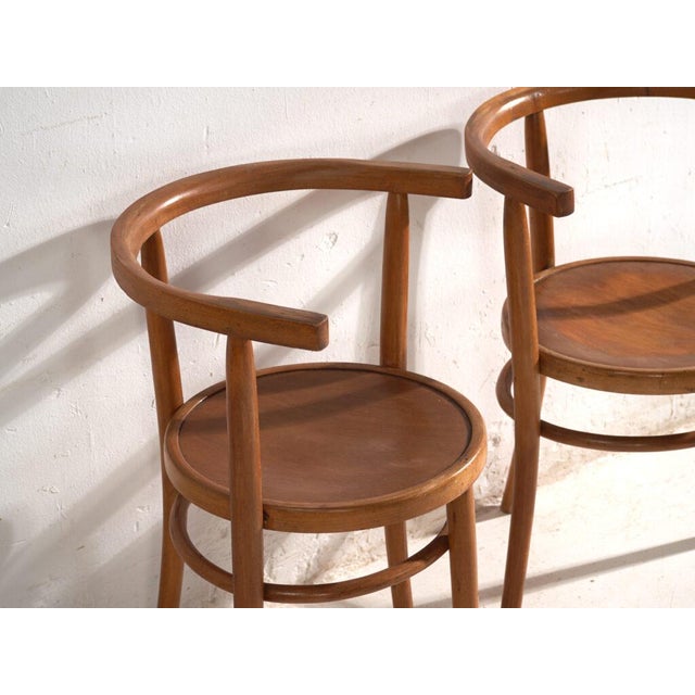 A set of two antique chairs in bentwood, with a curved crest rail over vertical splats and a moulded board seat....