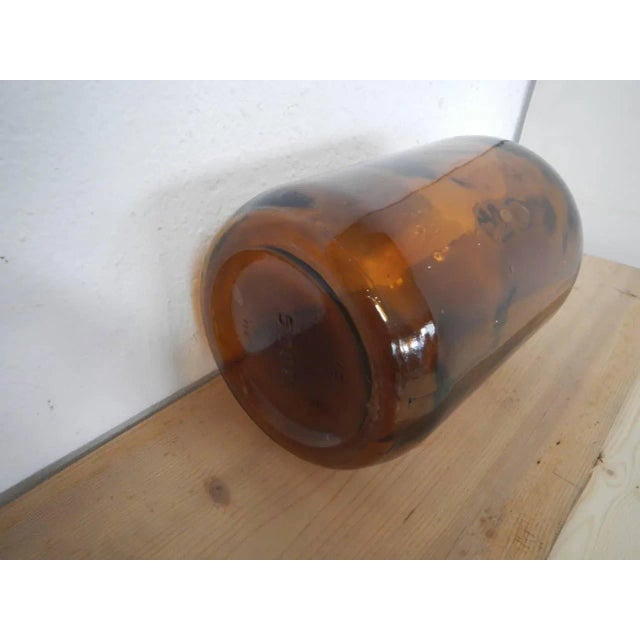 Vintage Pharmacy Container, 1950s For Sale - Image 4 of 10