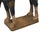 Oriental Ceramic Sancai Dark Blue Brown Beige Fengshui Artistic Camel Figure For Sale In San Francisco - Image 6 of 11