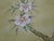 Paper 36" * H108"/Panel * 6ps,Brown-Yellow Magnolia Wallpaper, Magnolia‌ Wallpaper Mural, 6 Panels For Sale - Image 7 of 11