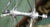 Vintage Campganolo Shamal 12 HPW Wheelset, Set of 2 For Sale - Image 14 of 16