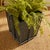 Callahan Tapered Planter Small For Sale - Image 12 of 12