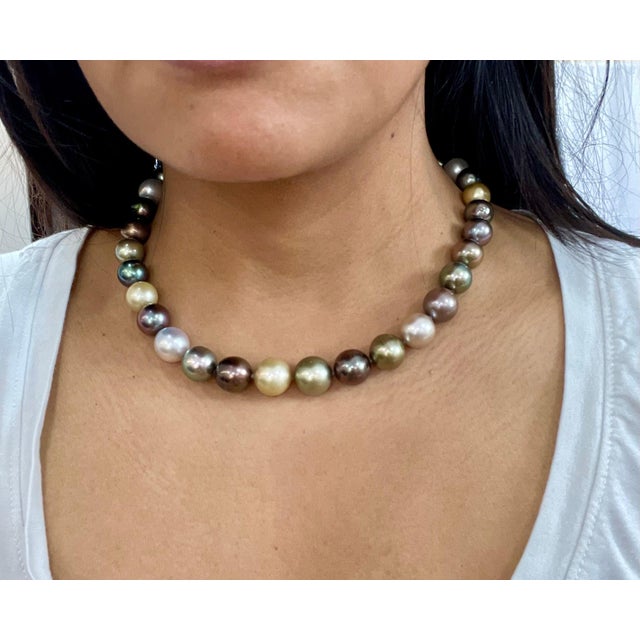 David Yurman Multi-Color South Sea Pearl Limited Edition Strand Necklace For Sale - Image 14 of 18